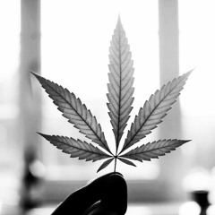 Reemo feat NES - Nüd bliibt für immer