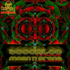 Le Rinse - Boogaloo (HVX 002 - Forthcoming 17th March 2014)