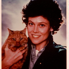 ドリームウィーバー