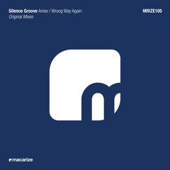Silence Groove - Anise (Original Mix) [Macarize]