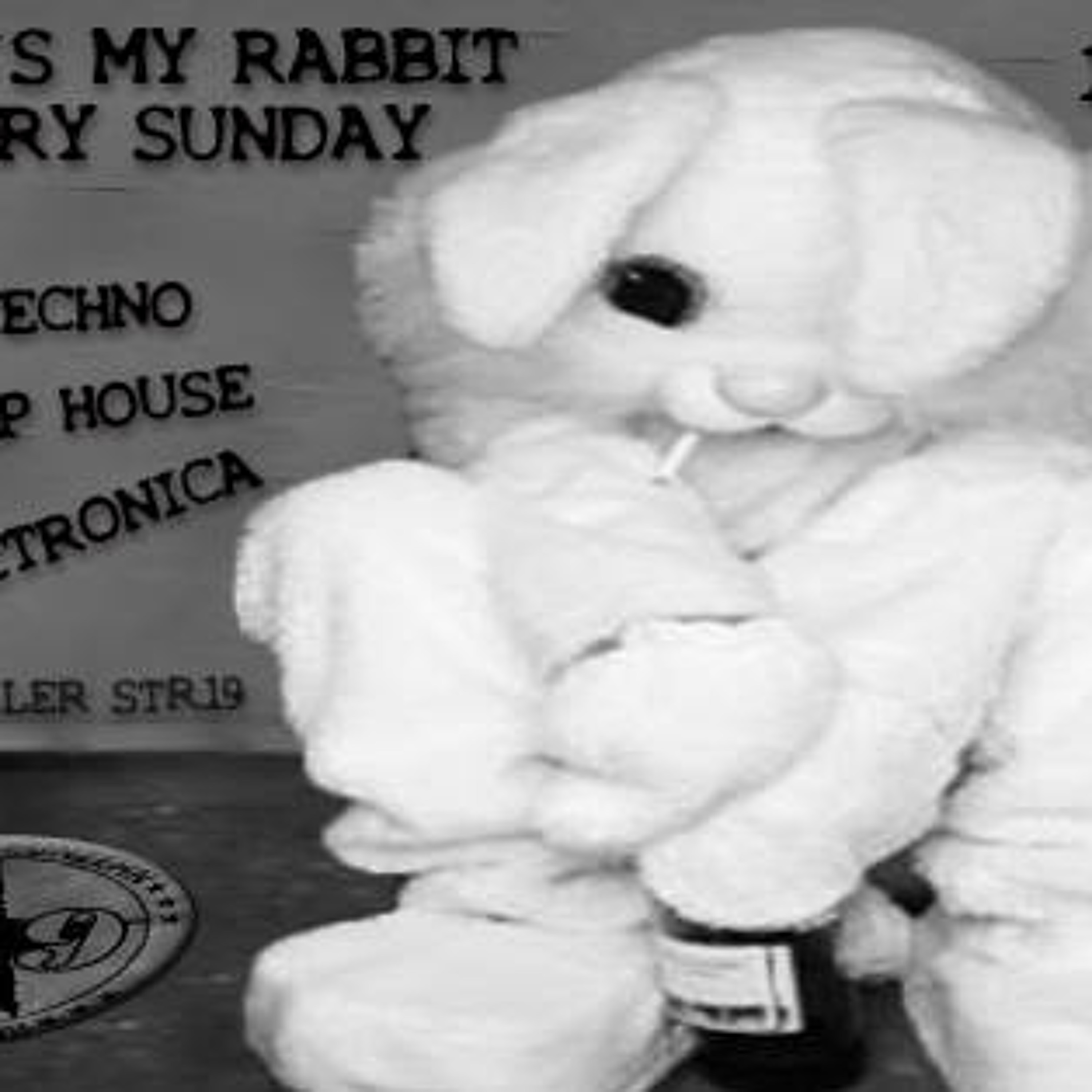 PIK-FEIN @ WHO is the RABBIT ⎥ R19 - Berlin  ⎥ 23.02.14 episode artwork