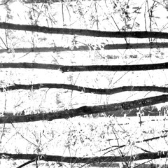 Adrift (A Work-in-Progress) - Movement 1 and intro to Movement 2 - stereo version of ambisonic work