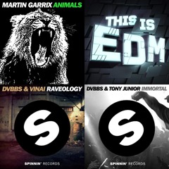 Wood - Rave The Immortal Animals