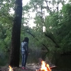 Crocodiles in Tights - AlAww