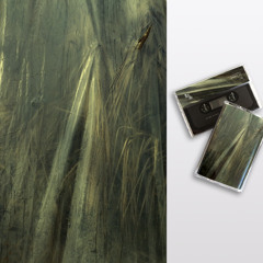 sicsic072 - S Olbricht & Carla under Water  // from Split with Alpàr (Release: Feb 2014)