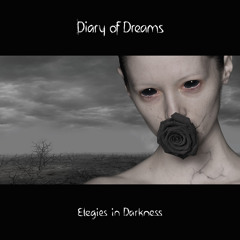 DIARY OF DREAMS - The Luxury Of Insanity (from "Elegies in Darkness")