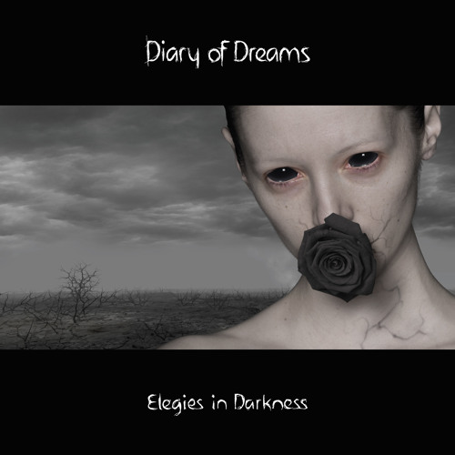 DIARY OF DREAMS - The Luxury Of Insanity (from "Elegies in Darkness")