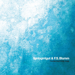 Springintgut & F.S. Blumm / The Bird And White Noise (Album Sampler)