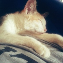 falling  in love at coffe shop cover