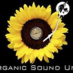 Solo On Panonnica (T. Monk)