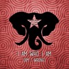 Mashup-Germany - I am who I am (Am I wrong)