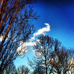 Jeff Gburek / Marco Lucchi