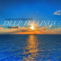 Liam Mason Presents. . . Deep Feeling's Vol.2
