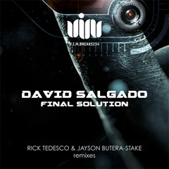 David Salgado - Final Solution (Jayson Butera & Rick Tedesco Remix) [VIM Records in Late March]