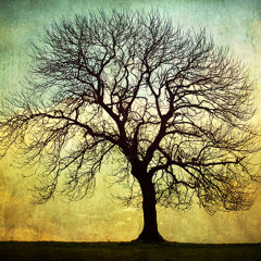 Coldplay - Life in technicolor (AJH Remix)