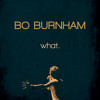Left Brain, Right Brain | BO BURNHAM | what.