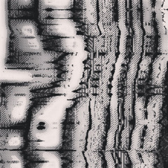 Shelter Death - No Life