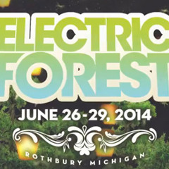 Electric Forest Deep in the Forest