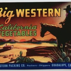 Big Western # 111