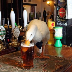 It's Good to be a Duck