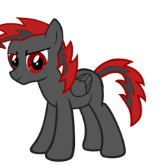 Bro+Pony=Brony