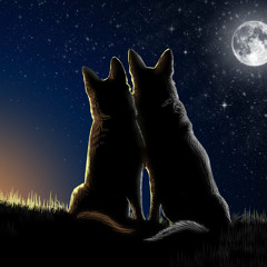 Calico Jacks Valentine ’s Full Moon Party pt. 1 (February 14, 2014)