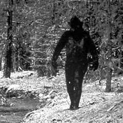 How We Bigfoot (Victor Niglio Bootleg) - The Game & 50 Cent vs. W&W