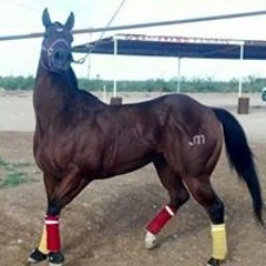 EL NUEVO COMANDANTE   OSCAR SOLIS