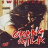 Iwan Fals - Orang Gila mp3 download (5.12 MB)