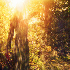 Misora (POPCOCOON ver.)