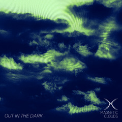 Out In The Dark