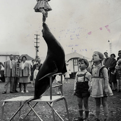 too true to be blue.