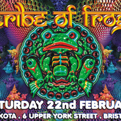 Cybernetic Ghost - Recorded at Tribe of Frog February 2014