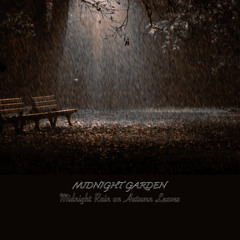 Midnight Rain On Autumn Leaves