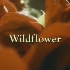 Wild Flower - Patrick Milar