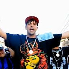MC HUDSON 22 BICHO DA SEDA