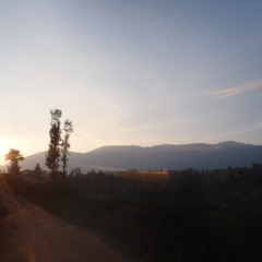 Moneys green the skys grey