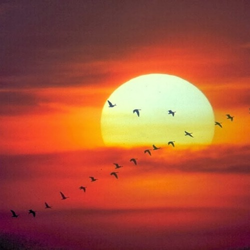 يا من له سترٌ علي جميل ، هل لي إذا اعتذرت قبول - مُنّاجاة مؤثرة ورائعة لـ محمد العود