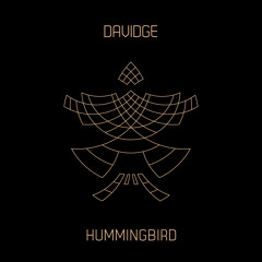 Hummingbird (feat. Patrick Duff)