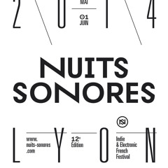 Nuits sonores 2014