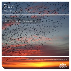 Feri - The Reconnaissance (Piotro remix)