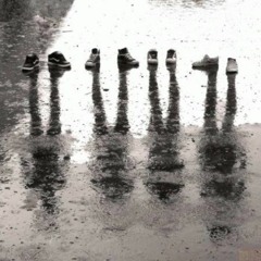 Human