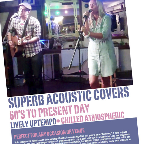 cover tina turner the best