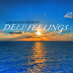 Liam Mason Presents. . . Deep Feeling's Vol.1