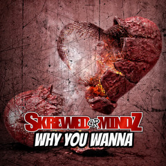 Why You Wanna