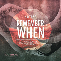 4.NOTIZE - Remember When ( Cucumbers Remix ) PREVIEW