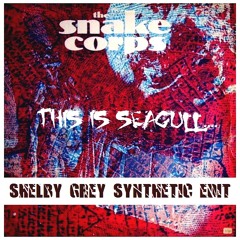 Snake Corps - This Is Seagull (Shelby Grey´s Synthetic Edit)