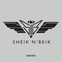 Voiski - A Sad Party