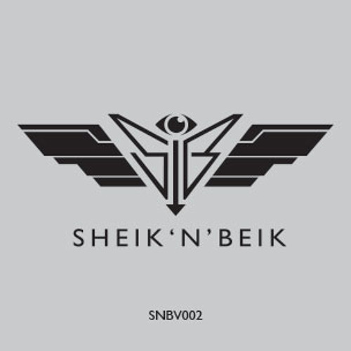 Voiski - A Sad Party