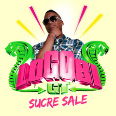 Logobi GT-Sucre Sale